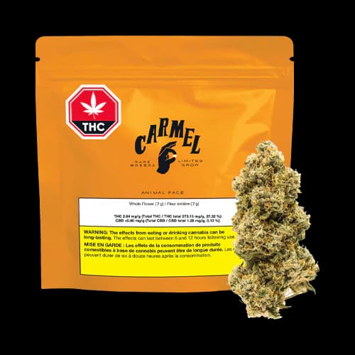 Carmel Cannabis - Animal Face 3.5g Dried Flower by Carmel Cannabis - Flower