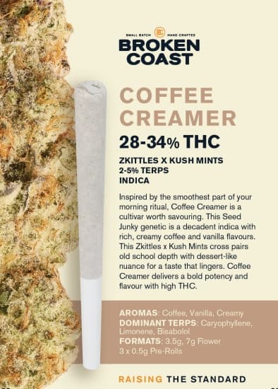 Broken Coast - Coffee Creamer 3 x 0.5g Pre-Rolls by Broken Coast - Pre-Rolls