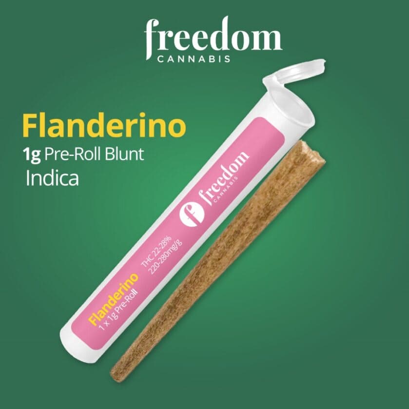 Freedom Cannabis - Flanderino 1 x 1g Blunt by Freedom Cannabis - Pre-Rolls