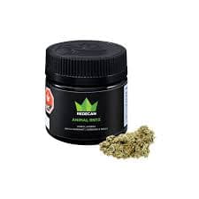 Redecan - Animal Rntz 3.5g Dried Flower by Redecan - Flower